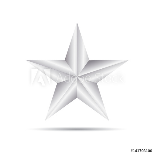 500x500 Silver Star Vector