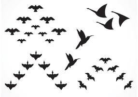 Bird Free Vector Art Free Downloadable 286x200 Bird Free Vector Art Free Downloadable
