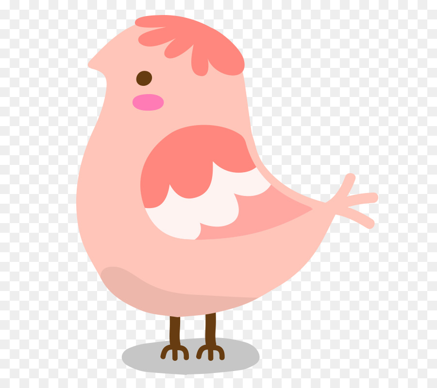 Chicken Bird Vector Graphics Illustration Portable Network 900x800 Chicken Bird Vector Graphics Illustration Portable Network