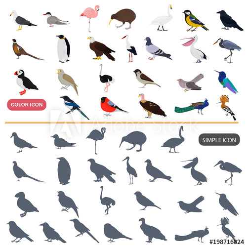 Color Flat And Simple Birds Icons Set 500x500 Color Flat And Simple Birds Icons Set
