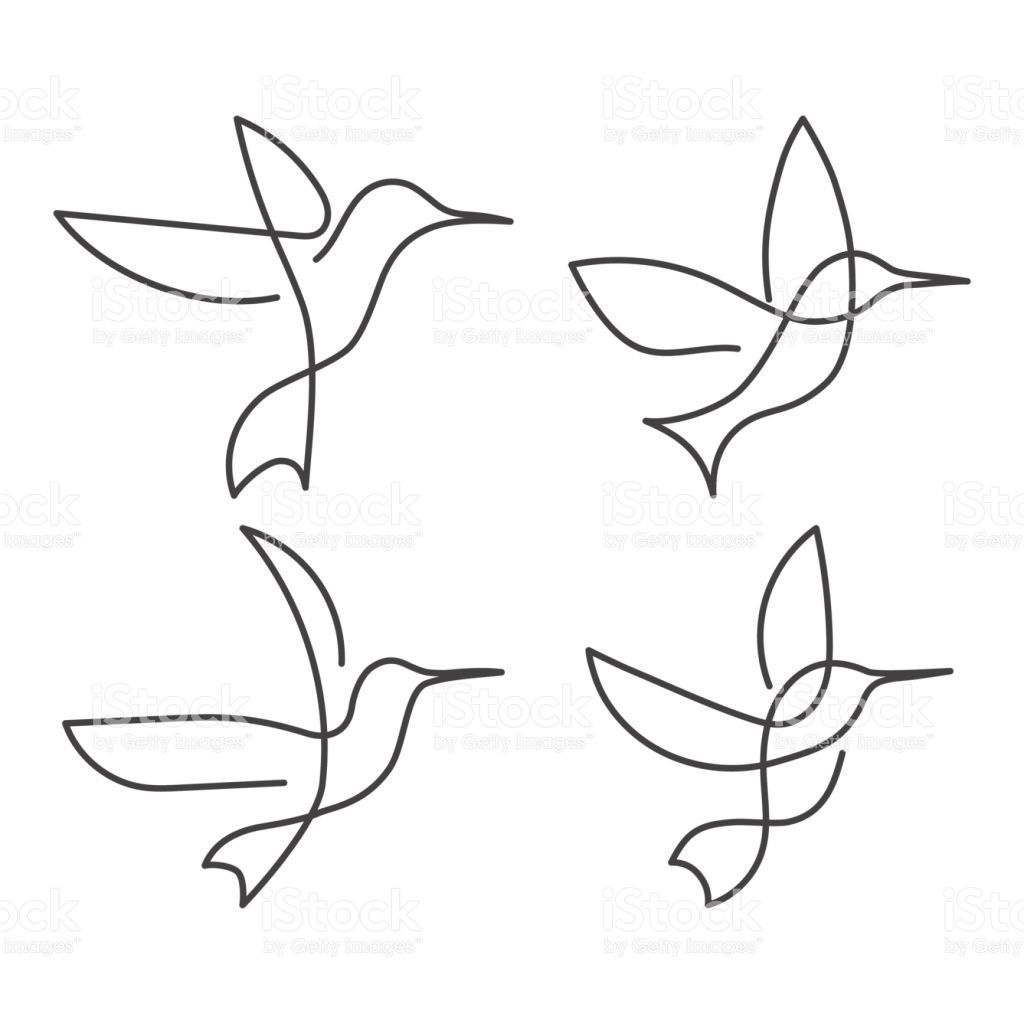 Set Of Continuous Line Birds Vector Illustration White One Line 1024x1024 Set Of Continuous Line Birds Vector Illustration White One Line