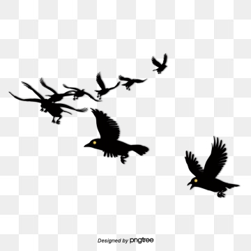 Simple Bird Png, Vector, And Clipart With Transparent 360x360 Simple Bird Png, Vector, And Clipart With Transparent
