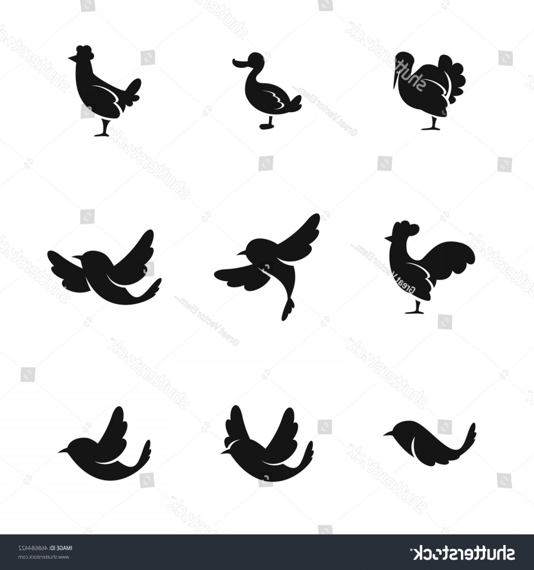 Bird Vector Icons Simple Illustration Set Handandbeak 1800x1920 Bird Vector Icons Simple Illustration Set Handandbeak