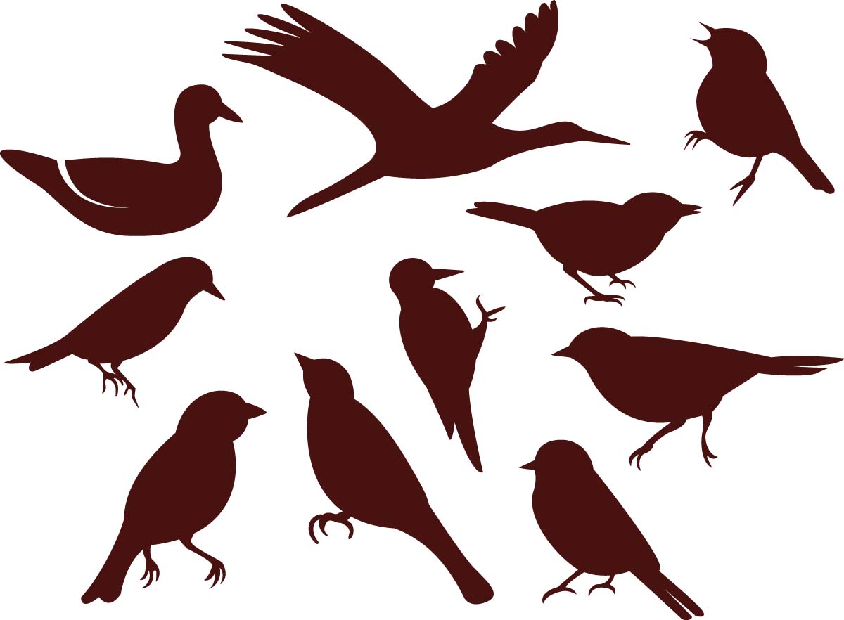 Simple Birds Silhouette Vector Set Free Download 1200x882 Simple Birds Silhouette Vector Set Free Download