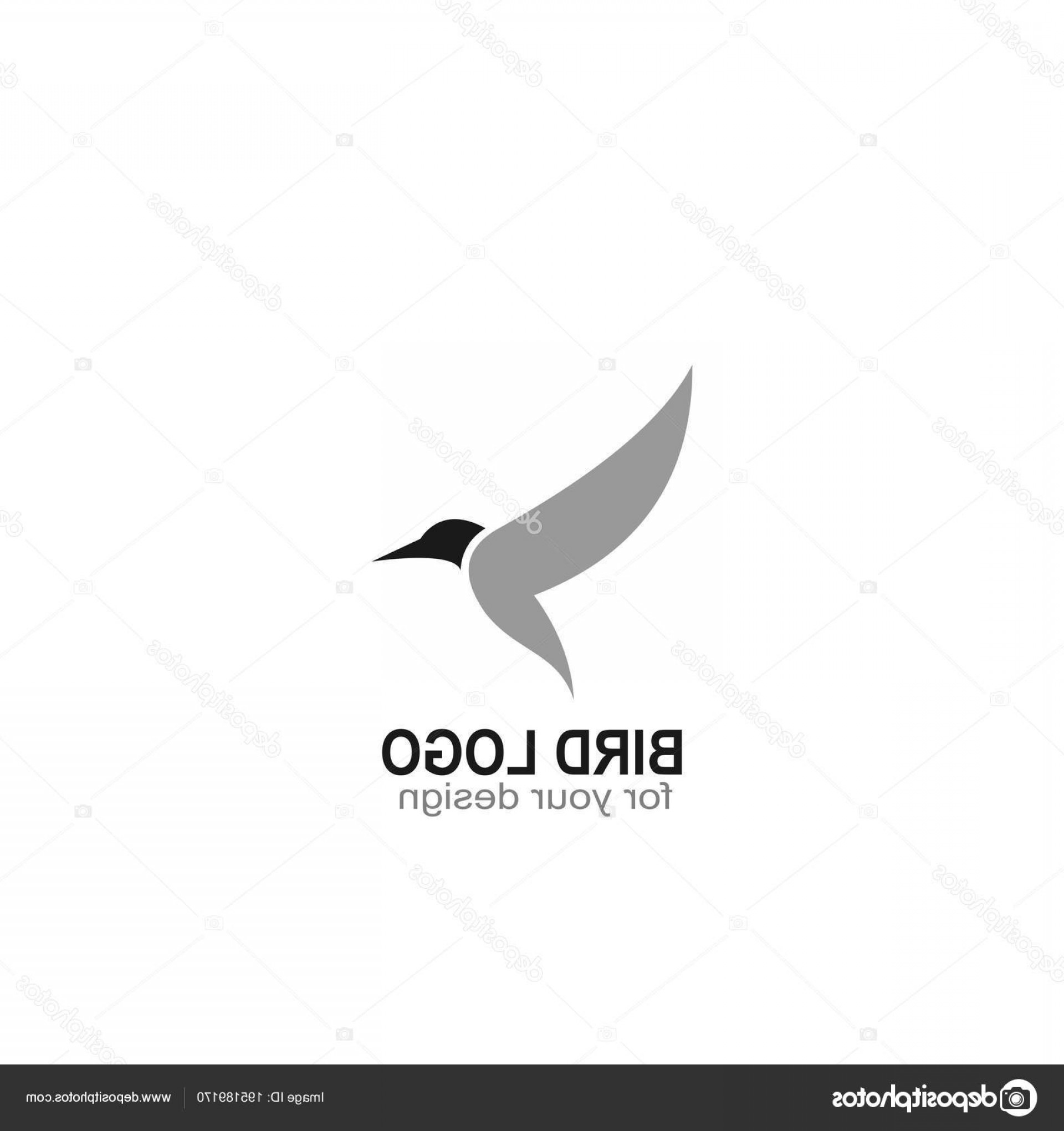 Stock Illustration Bird Logo Flying Bird Icon Handandbeak 1920x2040 Stock Illustration Bird Logo Flying Bird Icon Handandbeak