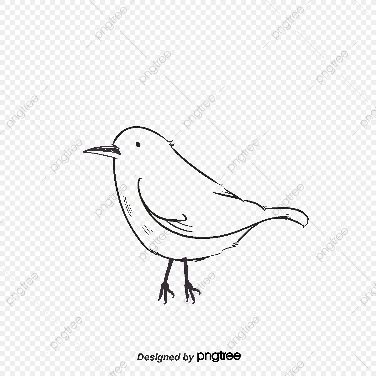 Birds Vector Drawing Simple Lines, Bird, Sing A Song, Tweet Png 1200x1200 Birds Vector Drawing Simple Lines, Bird, Sing A Song, Tweet Png