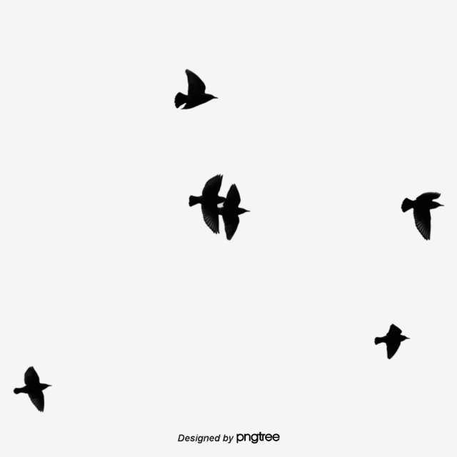 Black Vector Silhouette Of Birds Flying In Simple Flocks, Flying 640x640 Black Vector Silhouette Of Birds Flying In Simple Flocks, Flying