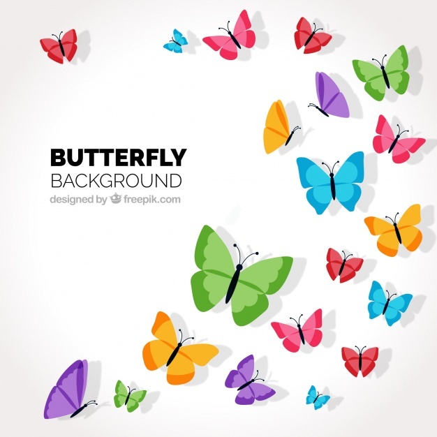 626x626 Butterfly Vectors, Photos And Free Download
