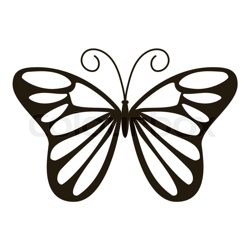 800x800 Day Butterfly Icon Simple Stock Vector Colourbox
