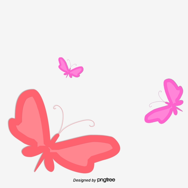 640x640 Vector Butterfly Colour Butterfly Combination Japanese Simple
