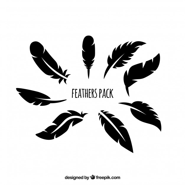 Feather Vectors, Photos And Free Download 626x626 Feather Vectors, Photos And Free Download