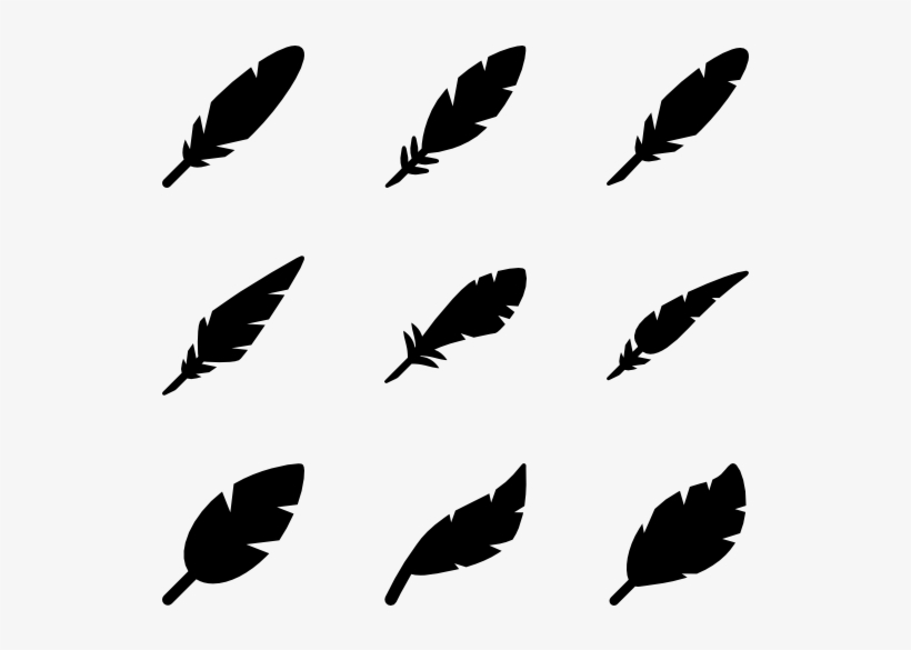 Filled Feathers 820x585 Filled Feathers