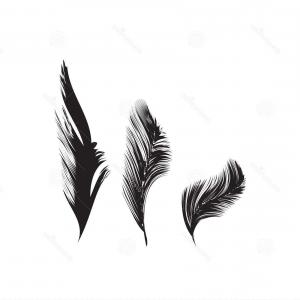 Photostock Vector Peacock Feather Icon Simple Illustration 300x300 Photostock Vector Peacock Feather Icon Simple Illustration