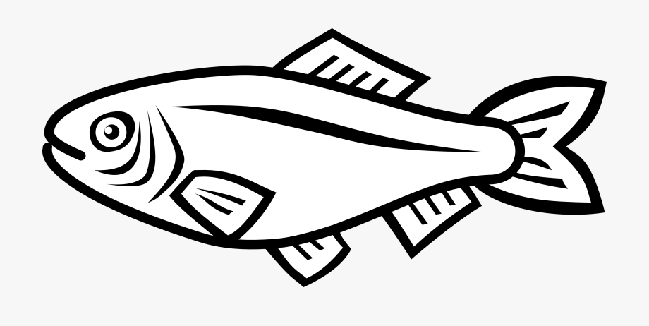 920x462 Simple Fish Vector