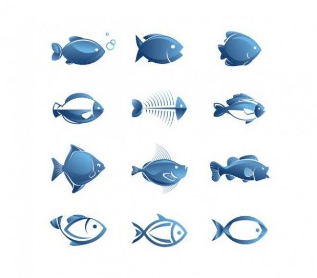 Simple Fish Vector at Vectorified.com | Collection of Simple Fish