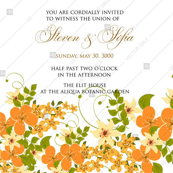 600x600 Small Field Multicolored Flowers Daisy Simple Rural Rustic Floral