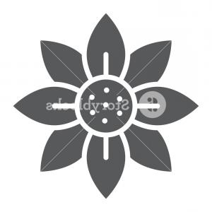 300x300 Flower Glyph Icon Blossom And Flora Floral Sign Vector Graphics