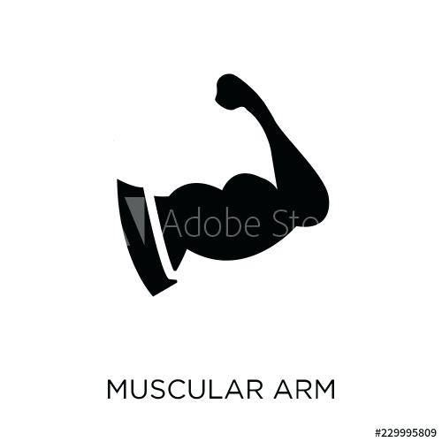 500x500 Simple Human B Heart Diagram Trash Bags H Drawing