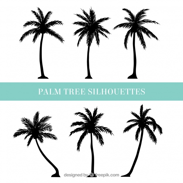 Palm Tree Vectors, Photos And Free Download 626x626 Palm Tree Vectors, Photos And Free Download