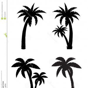 Photostock Vector A Black And White Silhouette Of A Palm Tree 300x300 Photostock Vector A Black And White Silhouette Of A Palm Tree