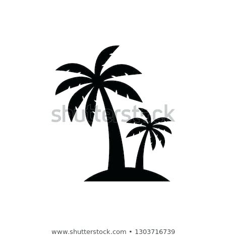 Simple Palm Tree 450x470 Simple Palm Tree
