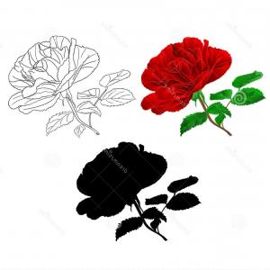 300x300 Simple Red Rose Stem Leaves Natural Outline Silhouette Vintage