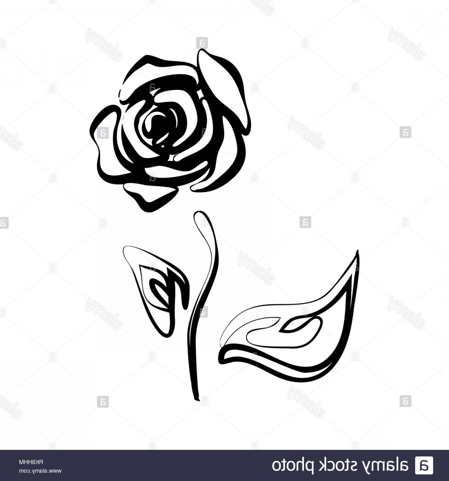 1560x1668 Simple Rose Vector Outlline Lamaison
