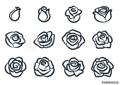500x354 Black And White Rose Flower Vector Illustration Simple Rose