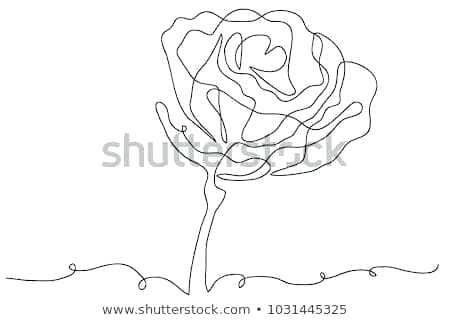 450x320 Simple Rose Drawing