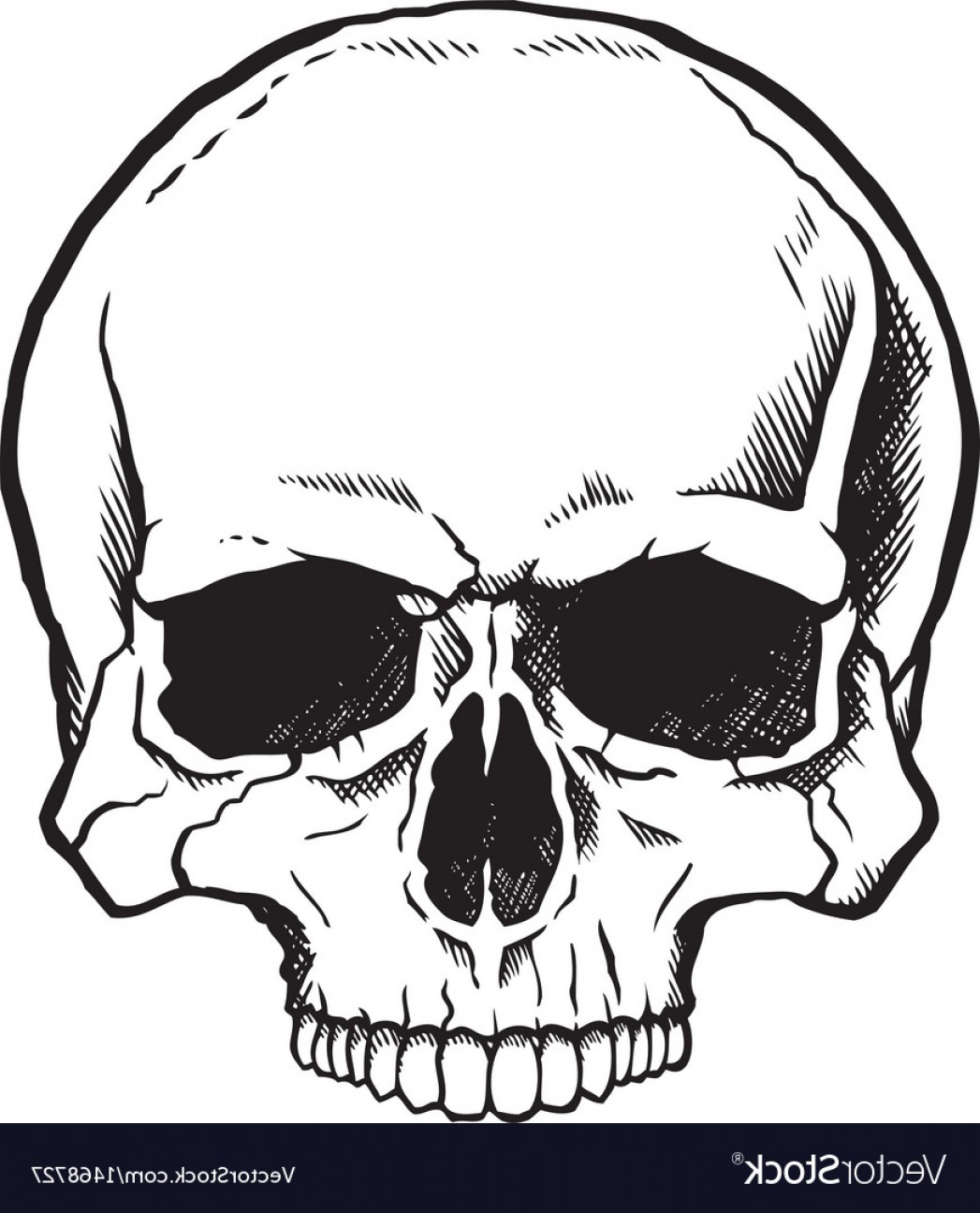 Очертания черепа