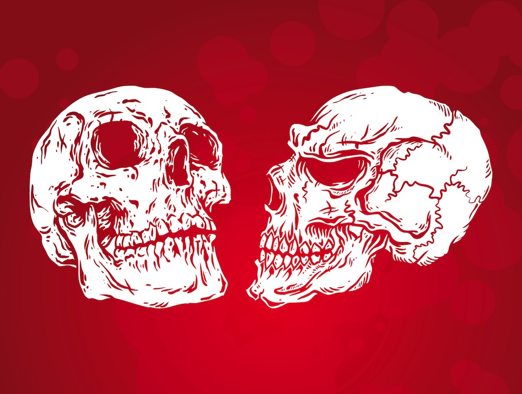 1024x773 Simple Skulls Vector Vector Art Graphics