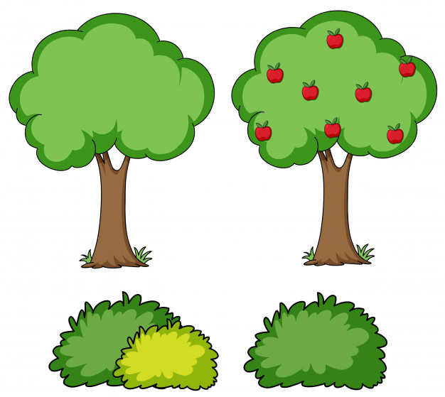 626x559 Set Of Simple Tree Vector Free Download