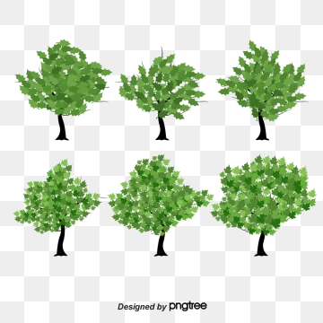 360x360 Simple Tree Png, Vector, And Clipart With Transparent