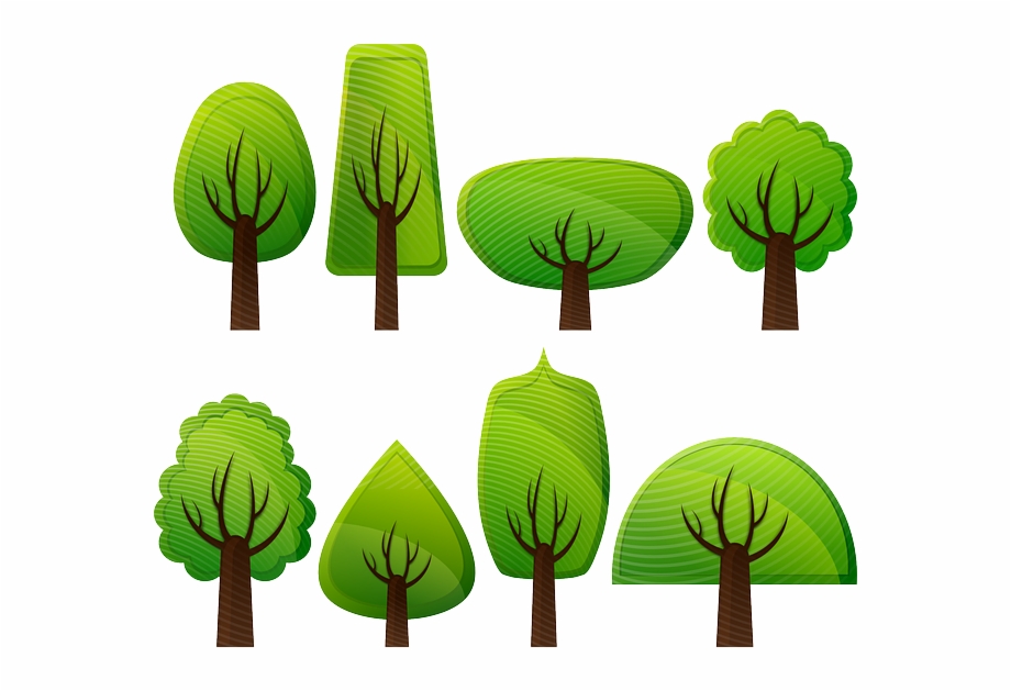 920x629 Deciduous Trees, Forest, Trees, Broad Leafed Trees