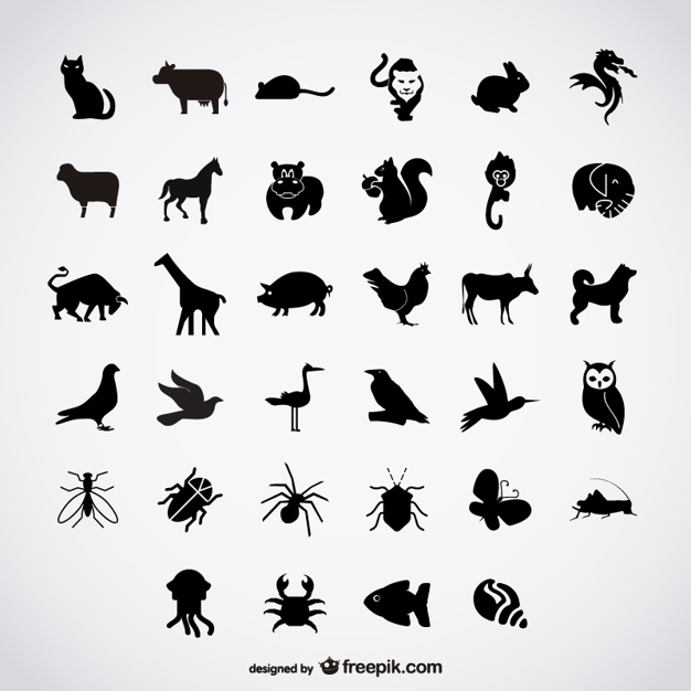 626x626 Simple Birds Silhouettes Vector Free Download