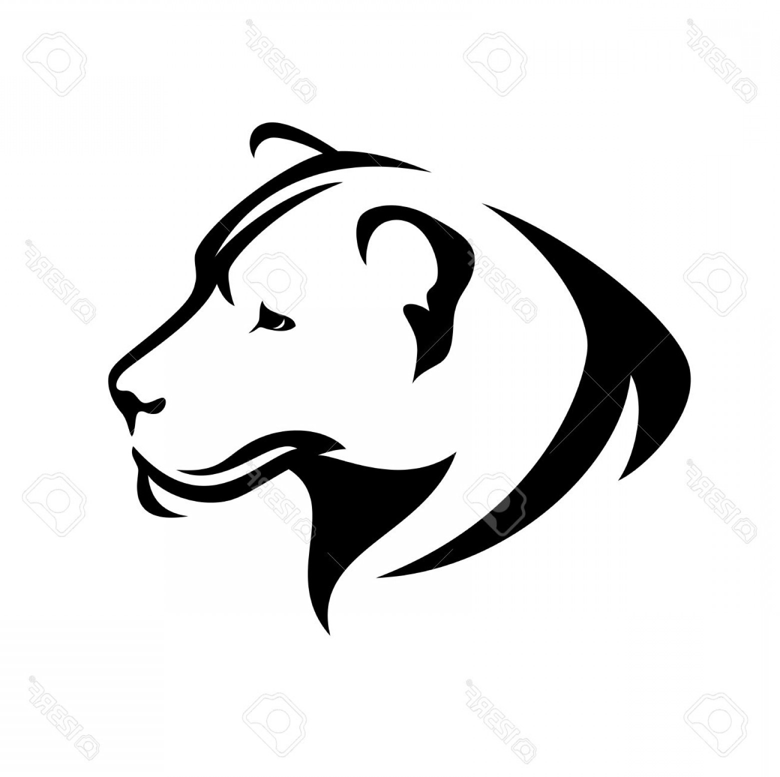 1560x1554 Photostock Vector Lioness Head Black And White Profile Simple