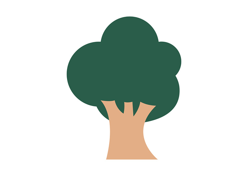 800x566 Tree Flat Simple Vector