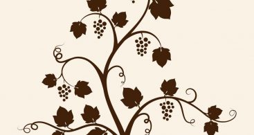 367x195 Simple Vine Vector Archives