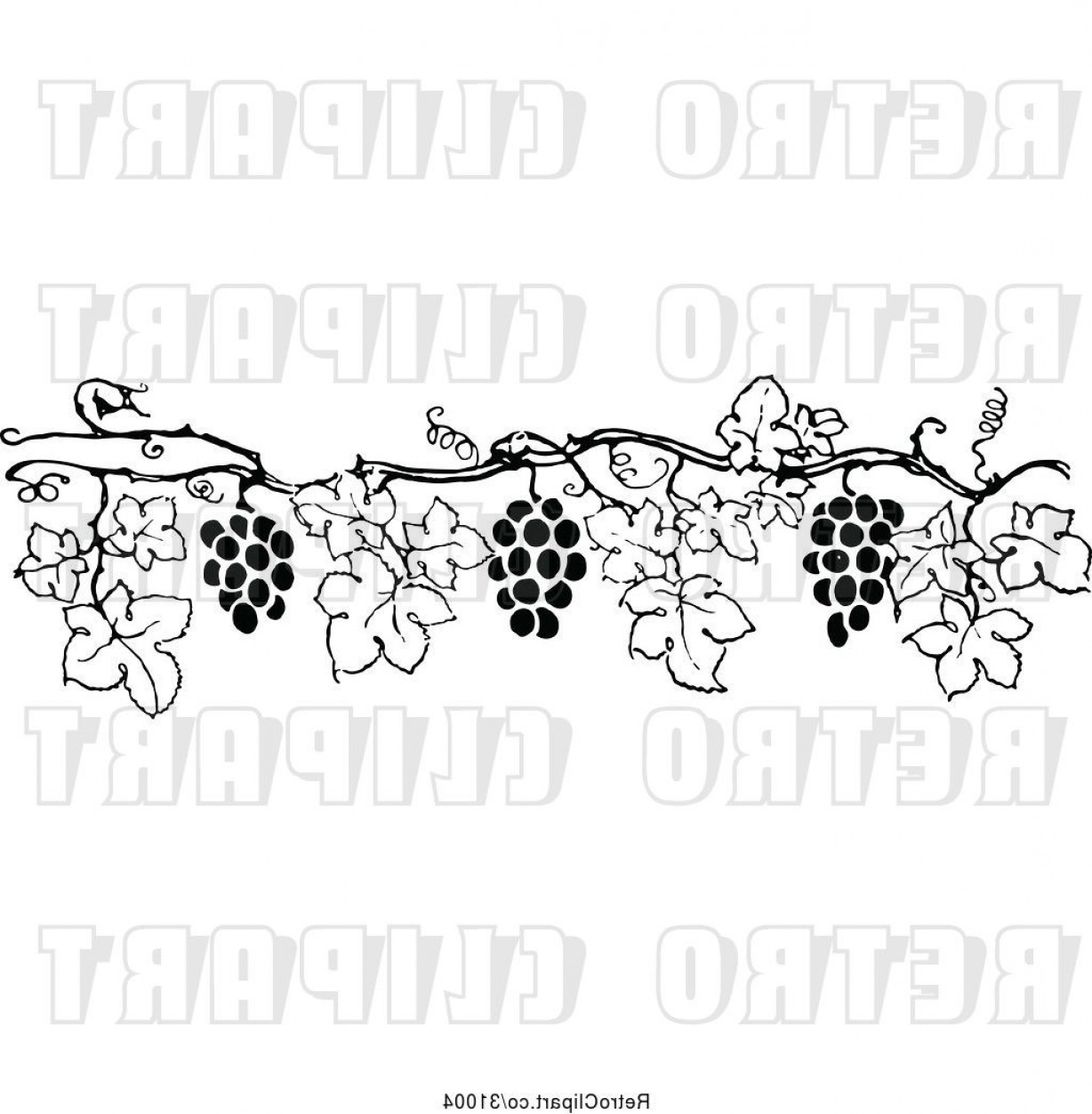 1228x1252 Vector Clip Art Of Retro Grape Vine Border
