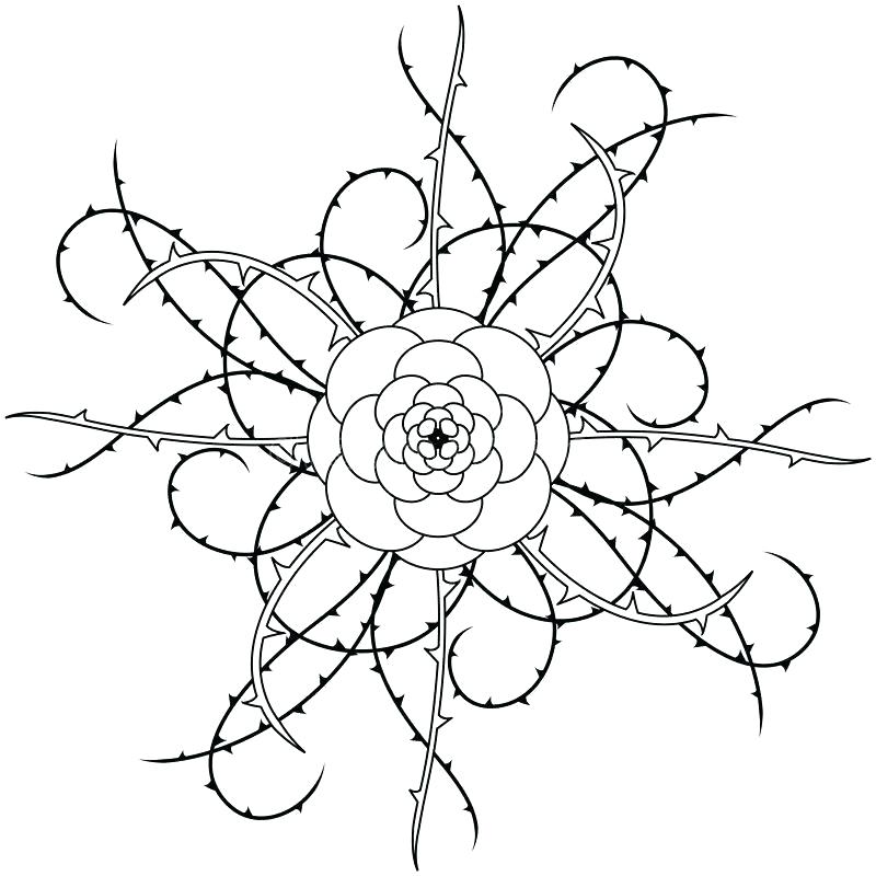 800x800 Vine Drawing Iso