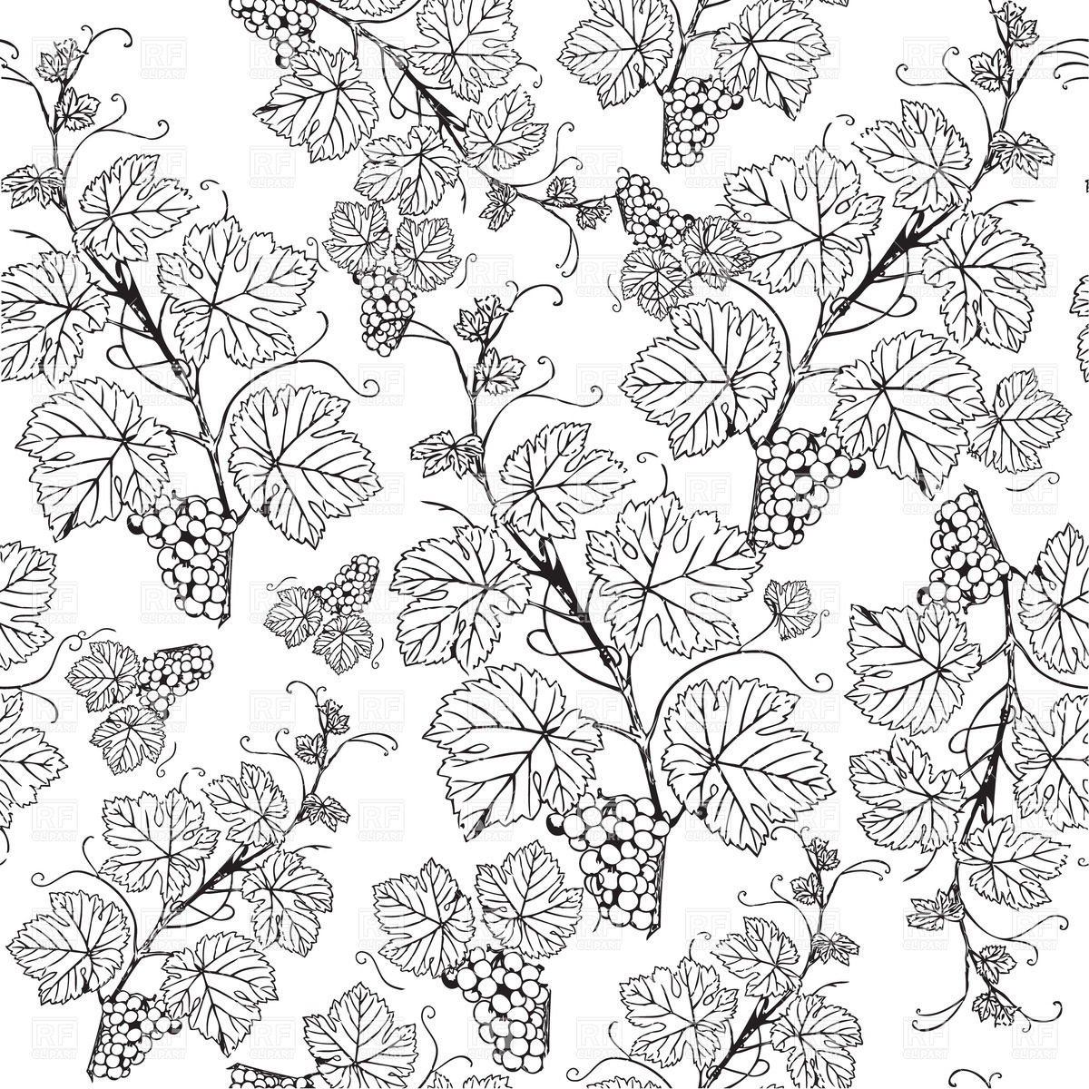 1200x1200 Grape Vine Sketch Pattern Vector Image Of Plants And Animals