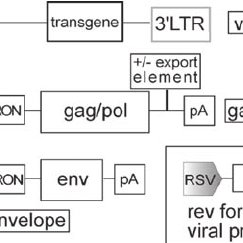 243x243 Sin Vector Design The Modular Composition Of The Vector