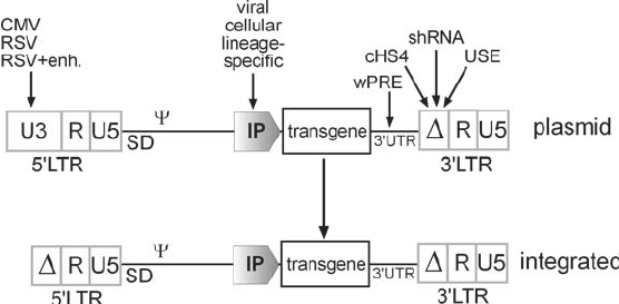 556x273 Sin Vector Design The Modular Composition Of The Vector