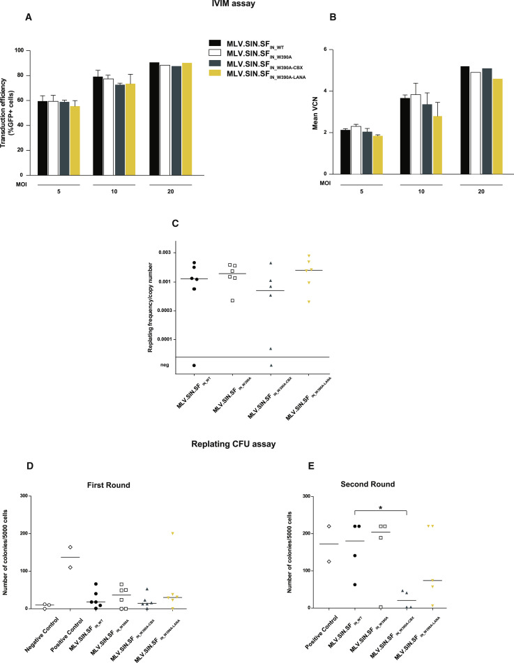 737x950 Engineering Next Generation Bet Independent Mlv Vectors For Safer
