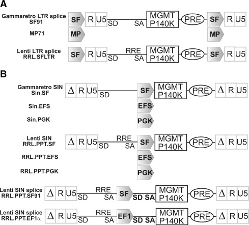 Equal Potency Of Gammaretroviral And Lentiviral Sin Vectors 489x442 Equal Potency Of Gammaretroviral And Lentiviral Sin Vectors