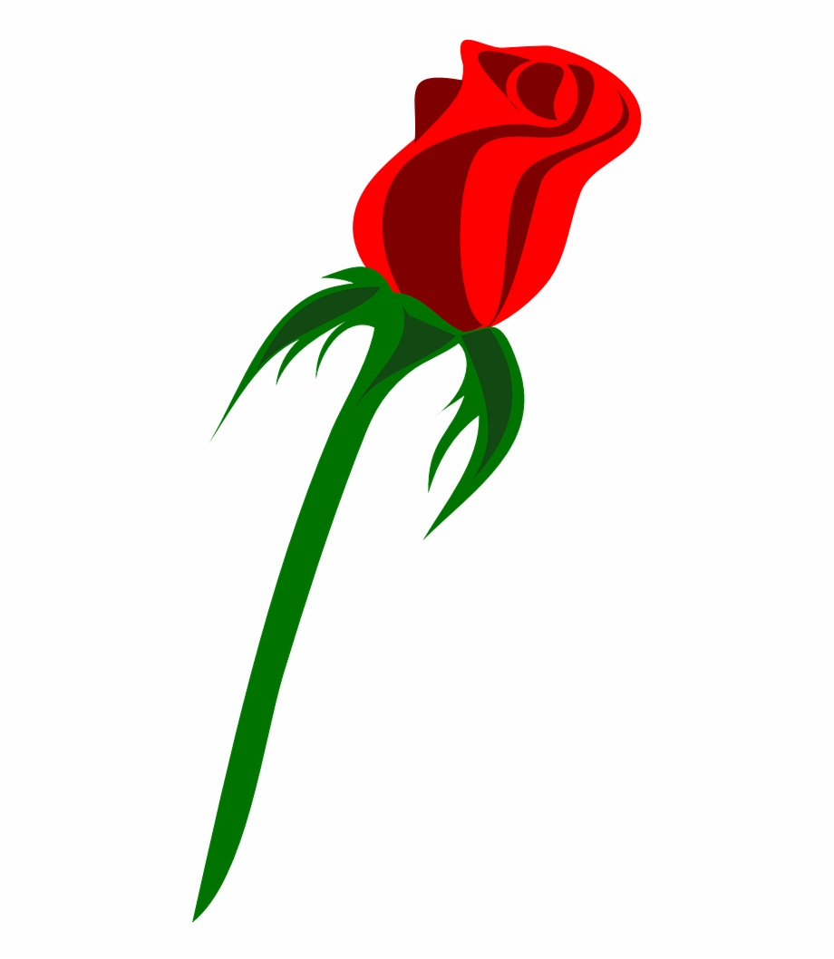 920x1058 Rose Single Bud Love Red Png Image