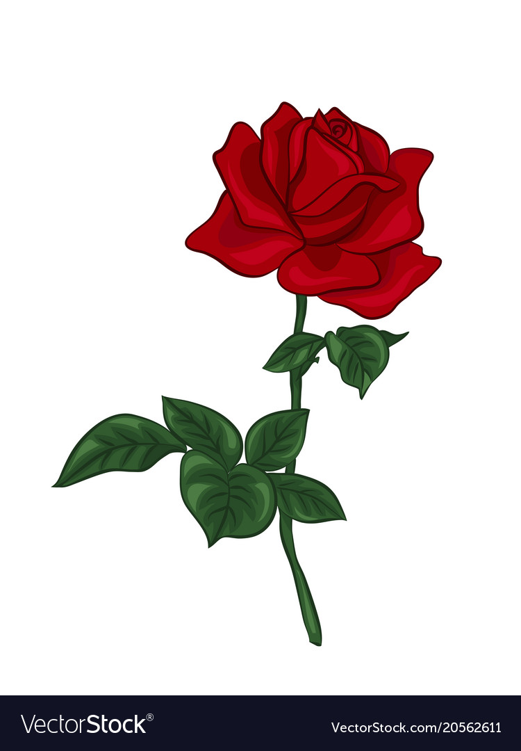 Single Rose Vector At Vectorified Com Collection Of Single Rose   Single Rose Vector 14 