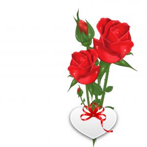 300x300 Single Beautiful Red Rose Vector Hoodamathrun