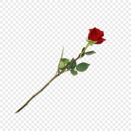 450x450 Single Red Rose Transparent Background