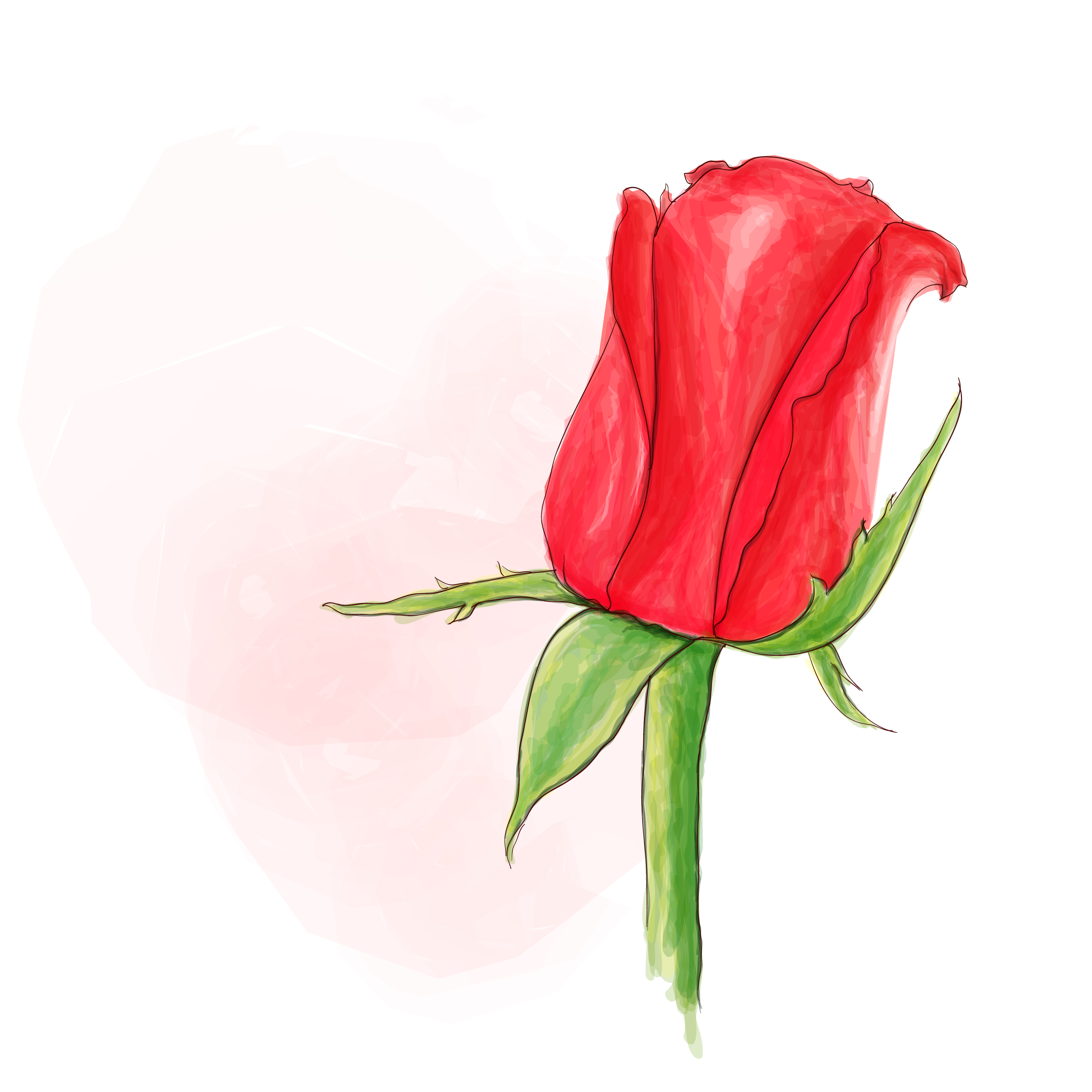 4000x4000 Single Rose Free Vector Art